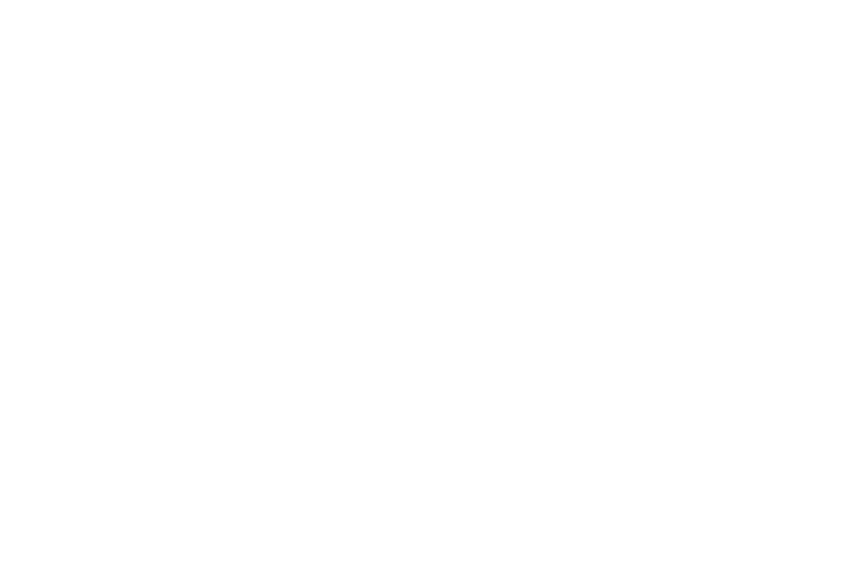 Official Selection — Pillar 4 2022