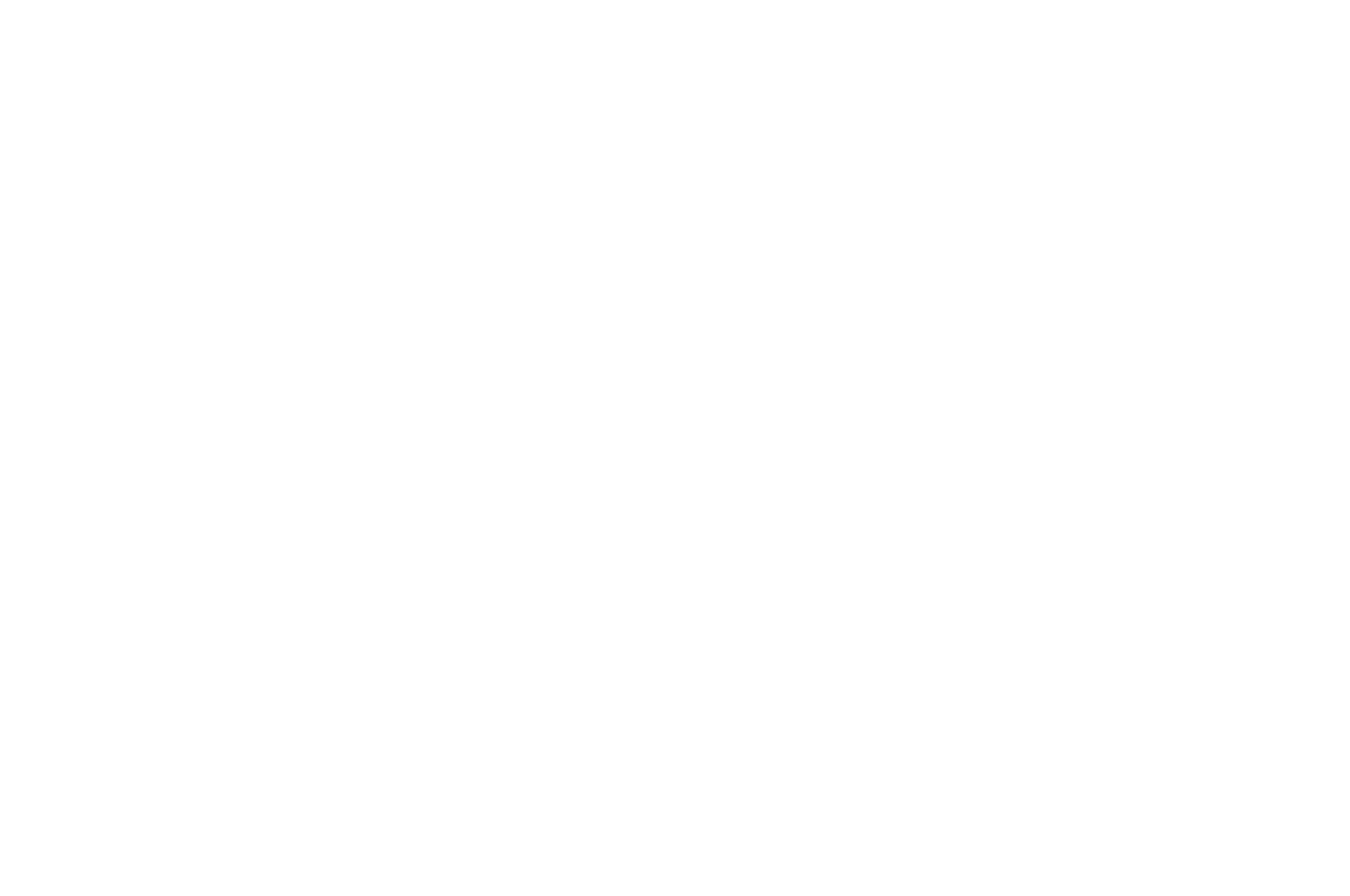 Official Selection — IDSFFK 2021
